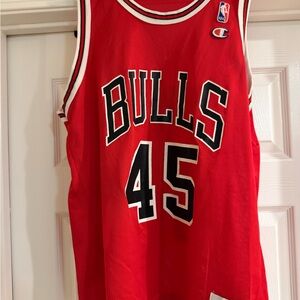 Vtg Champion Jordan #45 Jersey